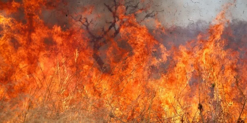 O Brasil tem passado por um período de extremos climáticos.