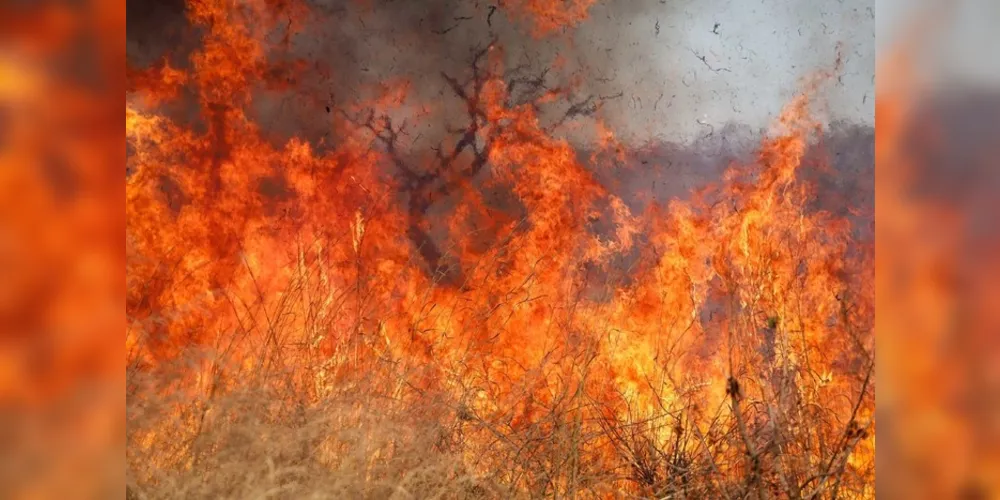 O Brasil tem passado por um período de extremos climáticos.