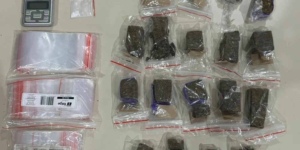 Foram encontrados aproximadamente 480g de substância análoga à maconha