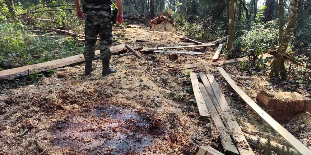 Por não possuir autorização ambiental, o homem foi autuado no valor de R$ 82,8 mil