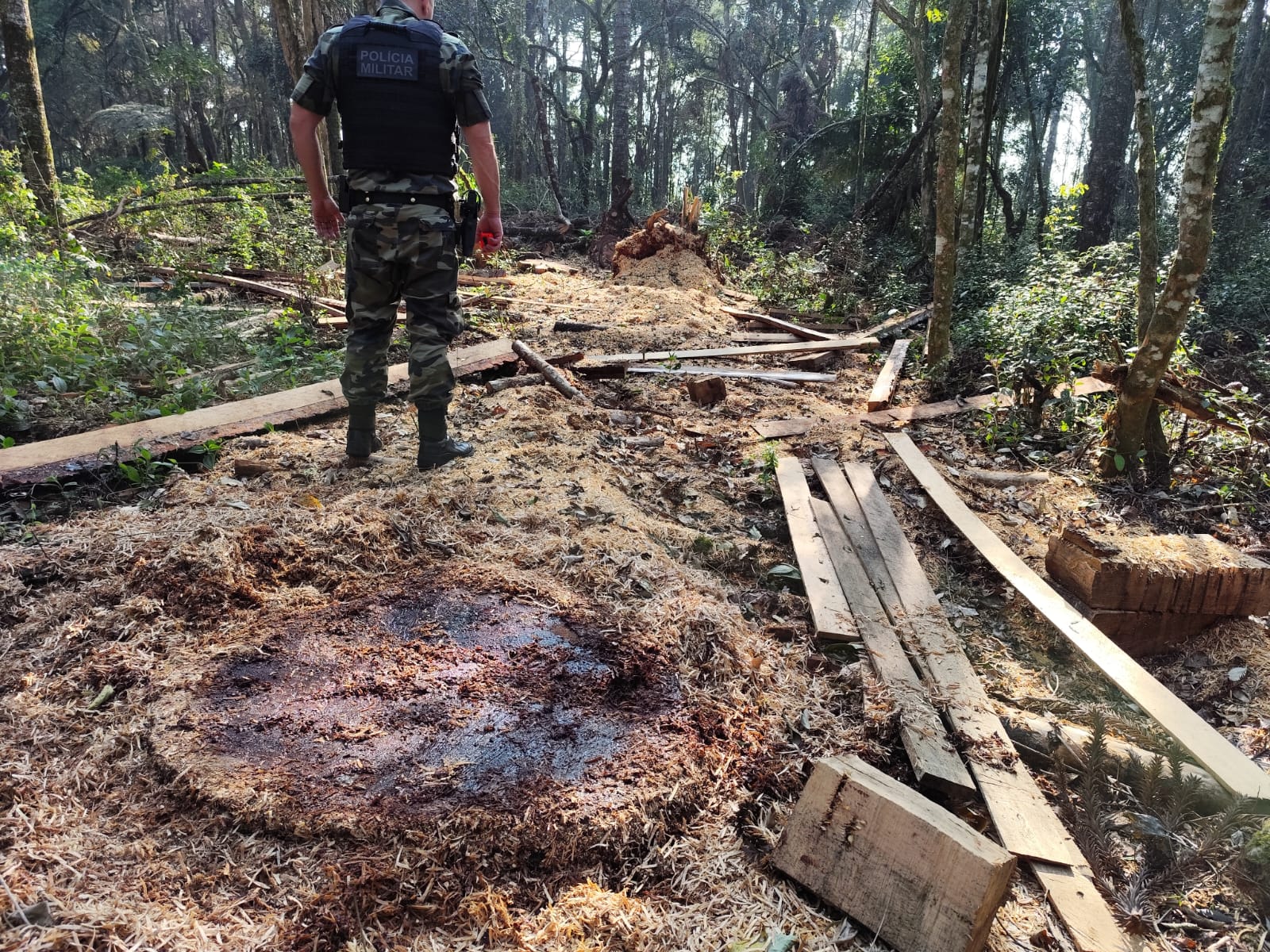 Por não possuir autorização ambiental, o homem foi autuado no valor de R$ 82,8 mil