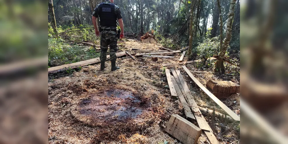 Por não possuir autorização ambiental, o homem foi autuado no valor de R$ 82,8 mil