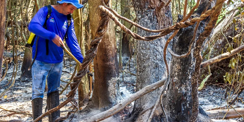 Os investimentos são aplicados por meio do Programa Itaipu Mais que Energia