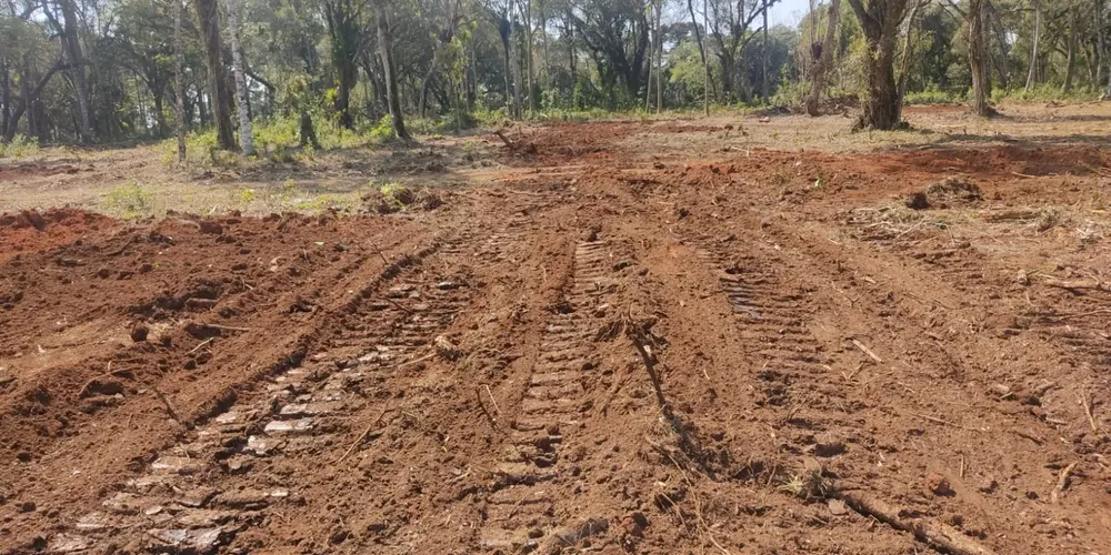 A área foi embargada