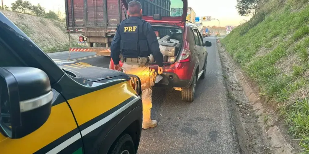 Apreensão ocorreu em Palmeira
