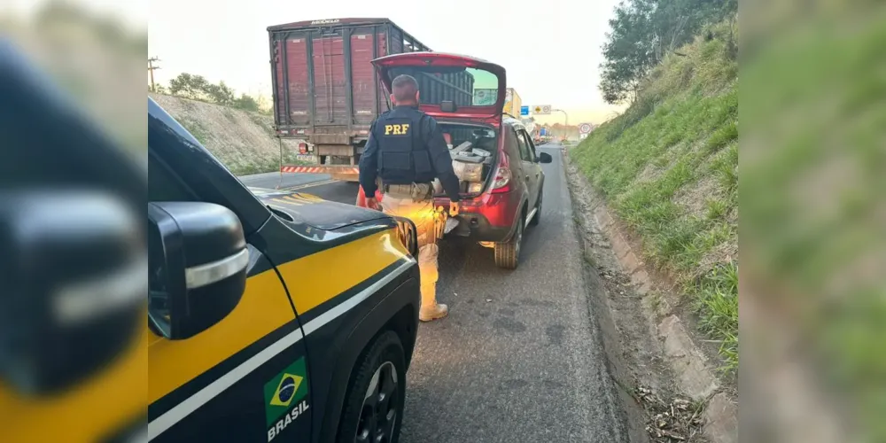 Apreensão ocorreu em Palmeira