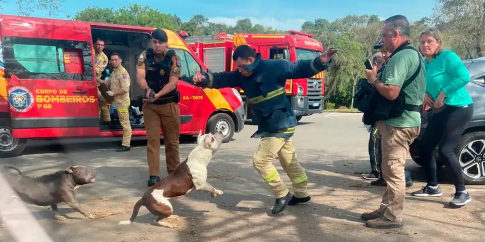 O bombeiro conseguiu evitar o ataque e bloquear o acesso dos animais para evitar mais vítimas