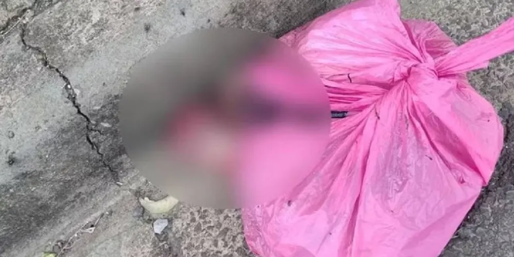 A Polícia Civil investiga o caso como possível aborto provocado pela gestante