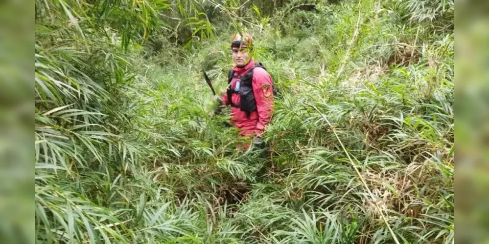 Além do barulho de explosão, os moradores relataram uma fumaça no trecho da Serra do Mar