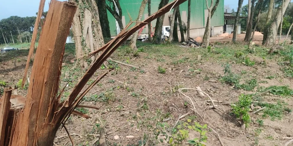 Em Castro, a Polícia Ambiental recebeu denúncia de dano em vegetação nativa mediante corte de sub-bosque e destoca em área correspondente a 0,77 hectare