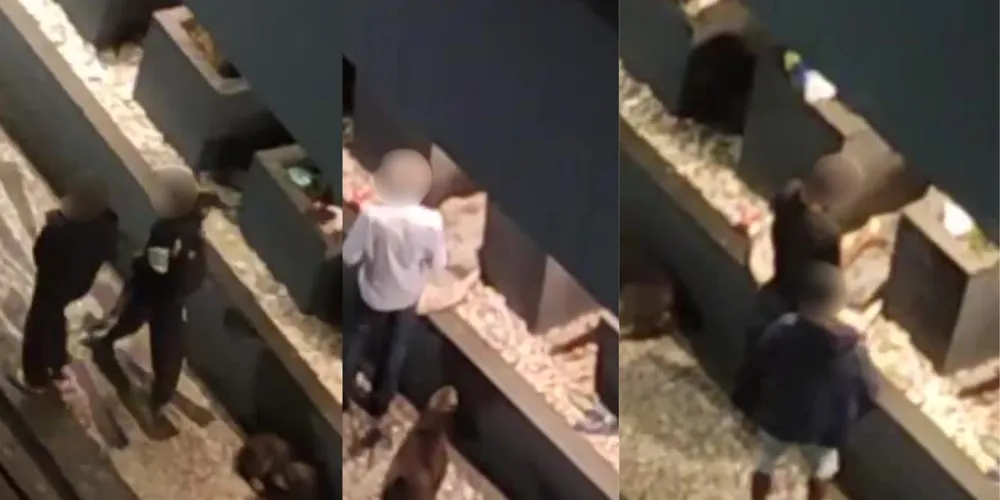 Conforme os comerciantes, além do tráfico de drogas no local, acontecem graves agressões e furtos