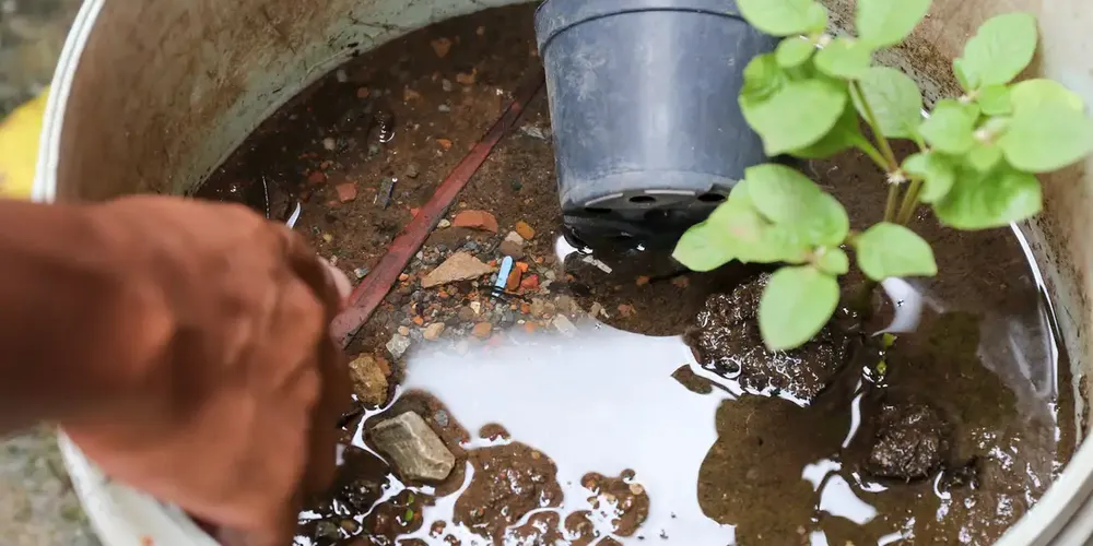 São Paulo concentra a maior parte dos casos prováveis da doença