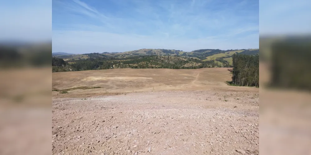 Em Ortigueira, na localidade de Boa Vista, os policiais constataram dano em vegetação nativa do Bioma Mata Atlântica, em área de 2,32 hectares