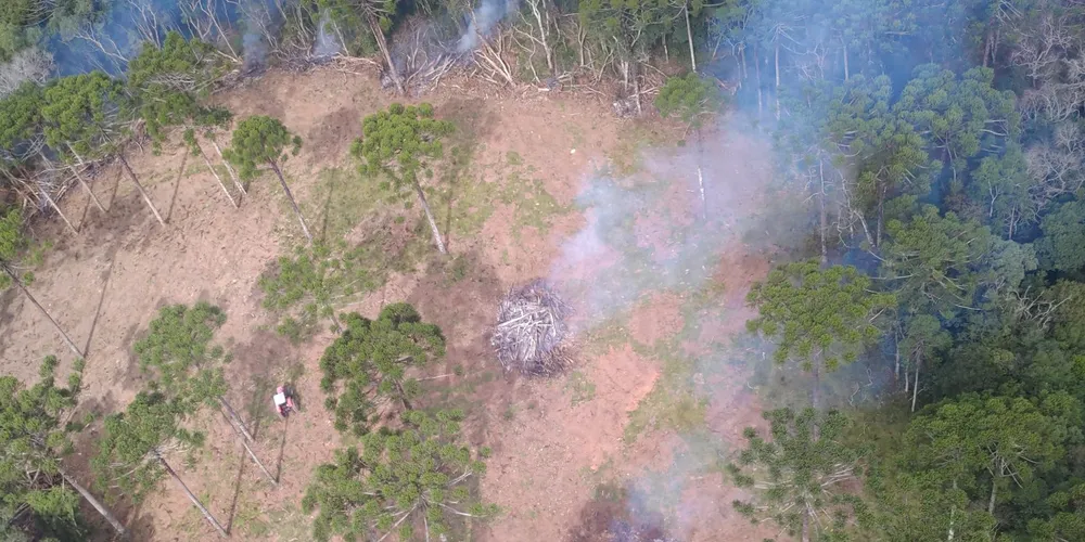 Ação integrada do IAT verificou focos de desmatamento em 43 municípios de diferentes regiões do Paraná.