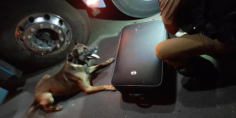Cão Maximus indicou a mala onde foram localizados mias de 10 quilos de maconha