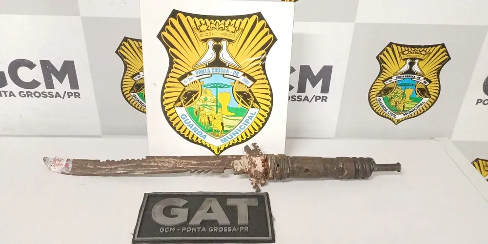 Mulher é atingida na cabeça por espada artesanal em Ponta Grossa