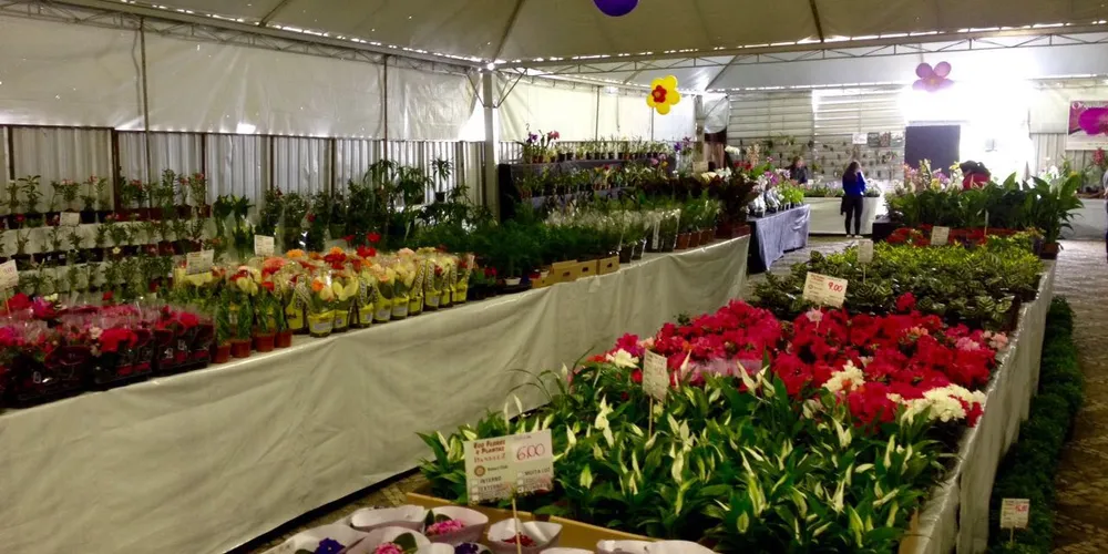 Exposição acontece das 9h da manhã às 21h