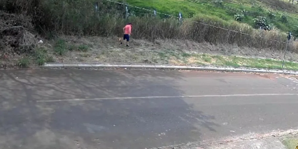 Homem é preso por crime ambiental ao colocar fogo em vegetação em Cascavel