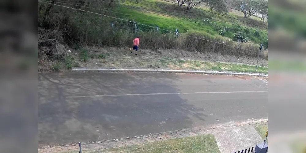 Homem é preso por crime ambiental ao colocar fogo em vegetação em Cascavel