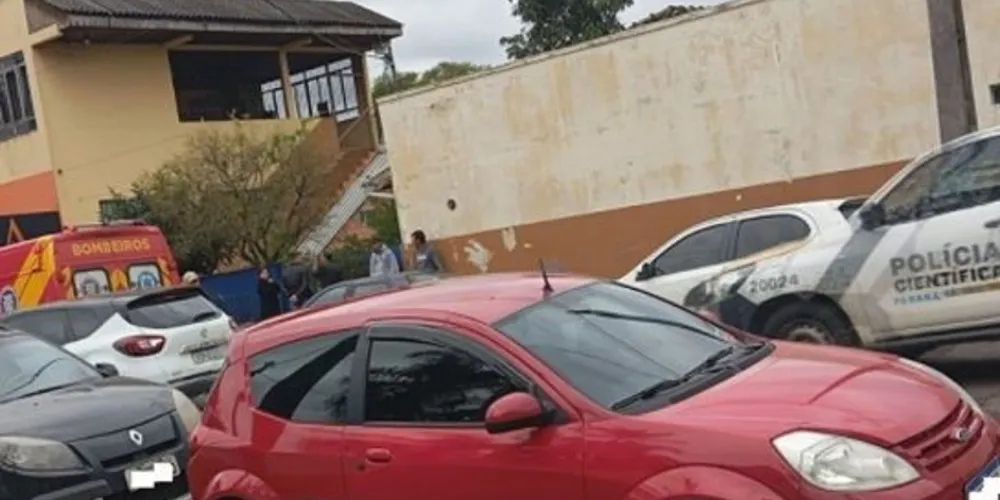 As primeiras informações são de que ele caiu de uma árvore ou telhado