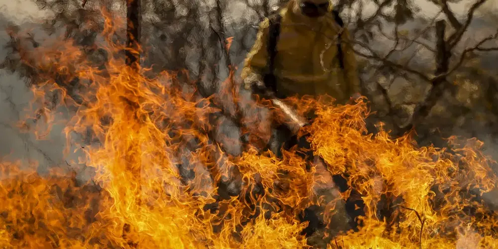 Entenda as linhas de investigação dos incêndios florestais