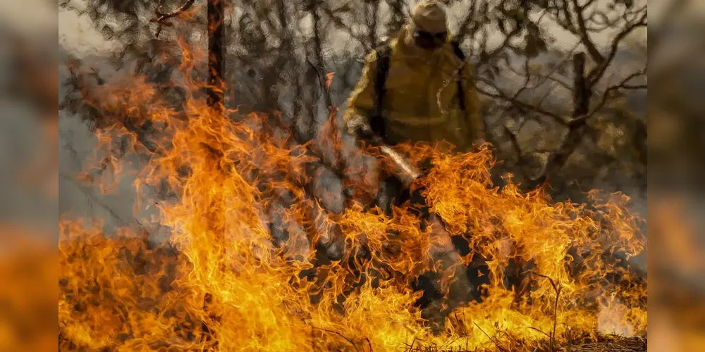 Entenda as linhas de investigação dos incêndios florestais