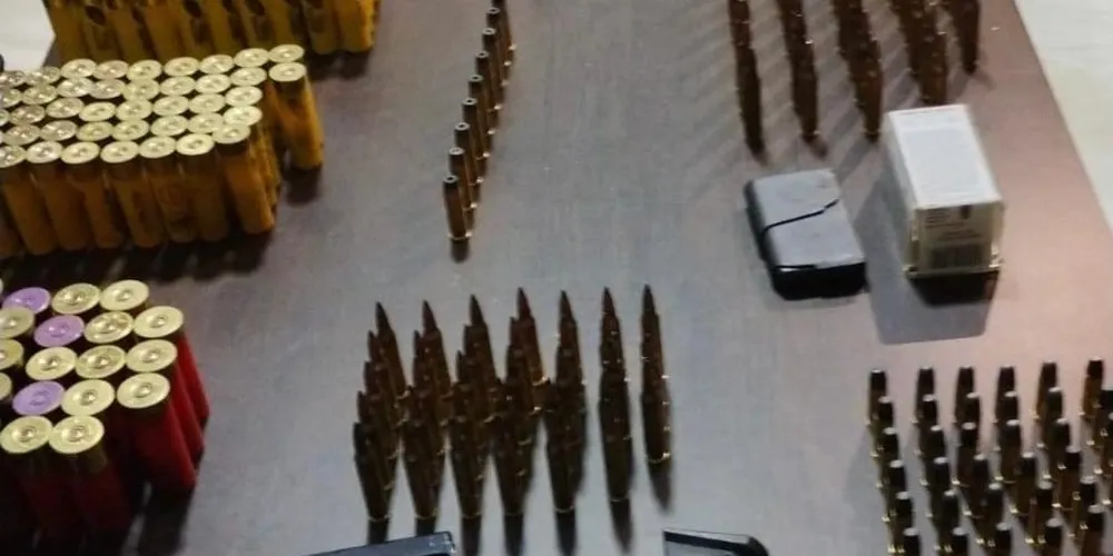 Armas e munições foram apreendidas na casa do suspeito de violência doméstica