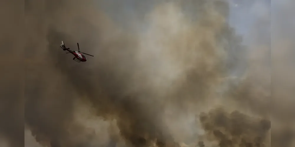 O incêndio atinge o Parque Nacional de Brasília desde domingo (15)