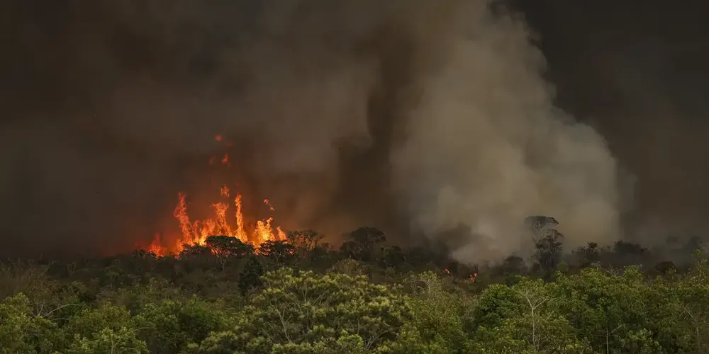 Provocar incêndio em mata ou floresta é crime ambiental