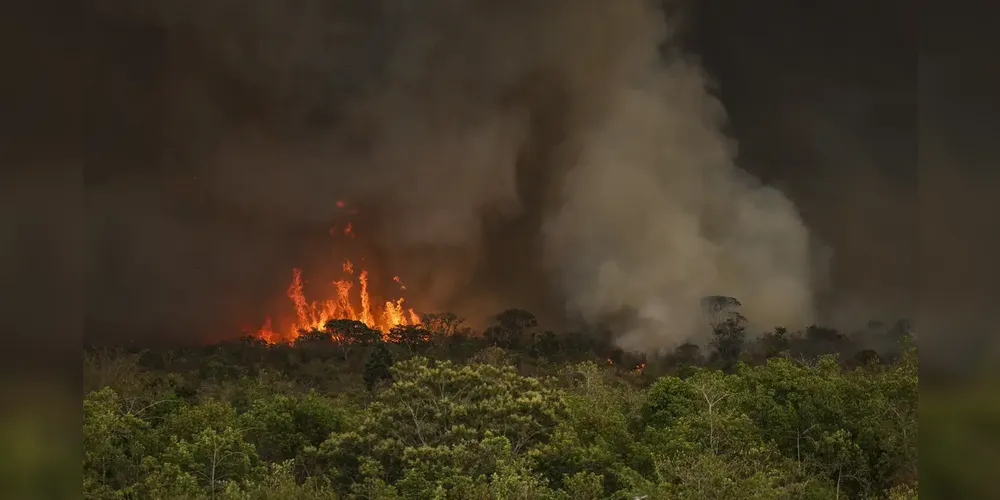 Caberá à Autoridade Climática subsidiar a execução e implementação da Política Nacional sobre Mudança do Clima