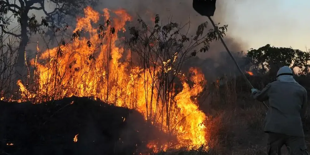 MPF aciona justiça para contratação de brigadistas contra incêndios