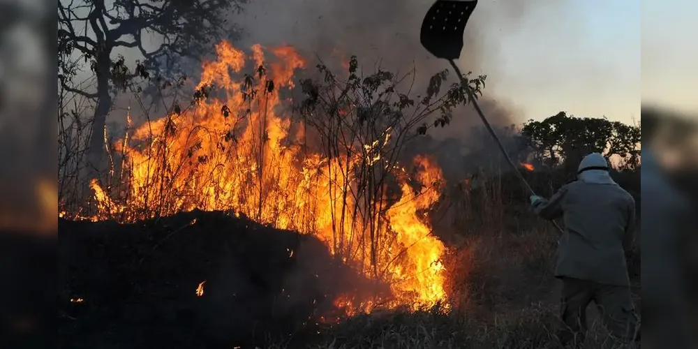 MPF aciona justiça para contratação de brigadistas contra incêndios