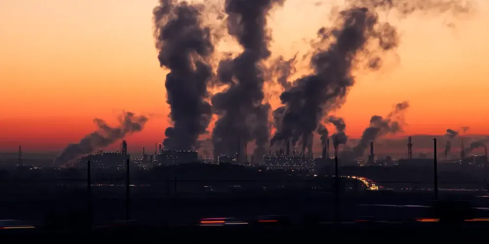 Vários tópicos foram disponibilizados durante a produção, como o uso consciente da mídia como fonte de informação