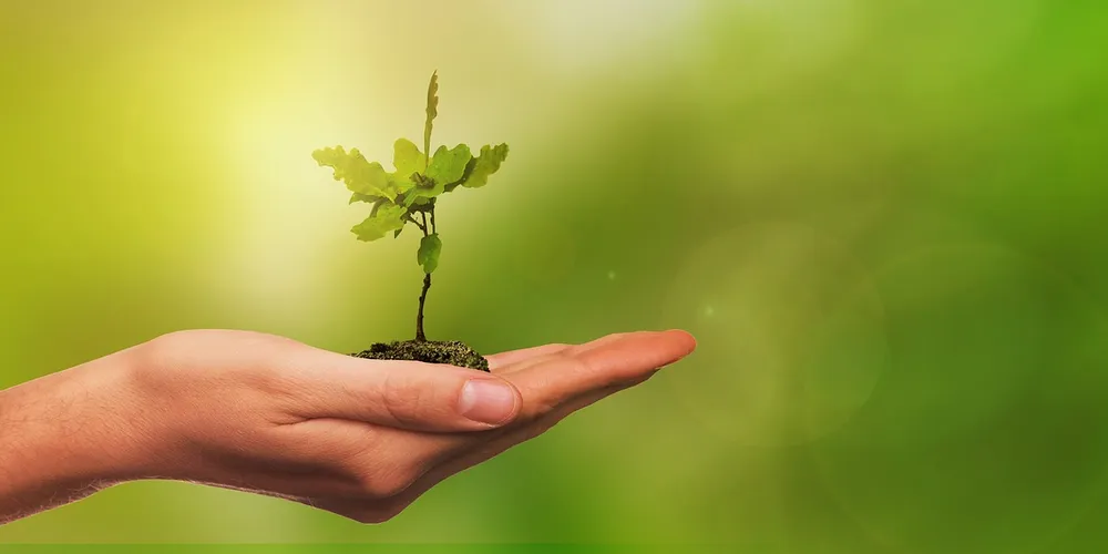 Confira a nova produção especial sobre sustentabilidade