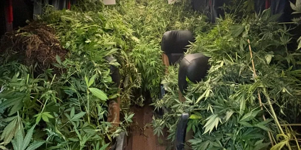 Policiais apreenderam um celular e dois cadernos contendo anotações