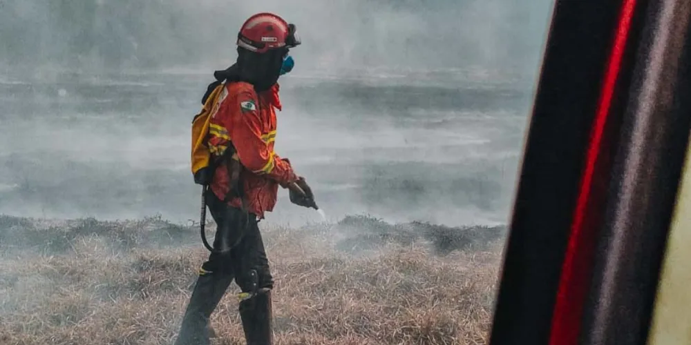 Temperaturas elevadas, baixa umidade relativa do ar e chuvas escassas são alguns dos fatores que contribuem para a proliferação do fogo