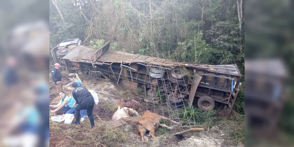 Caminhão tomba e mata seis animais em rodovia de Pitanga