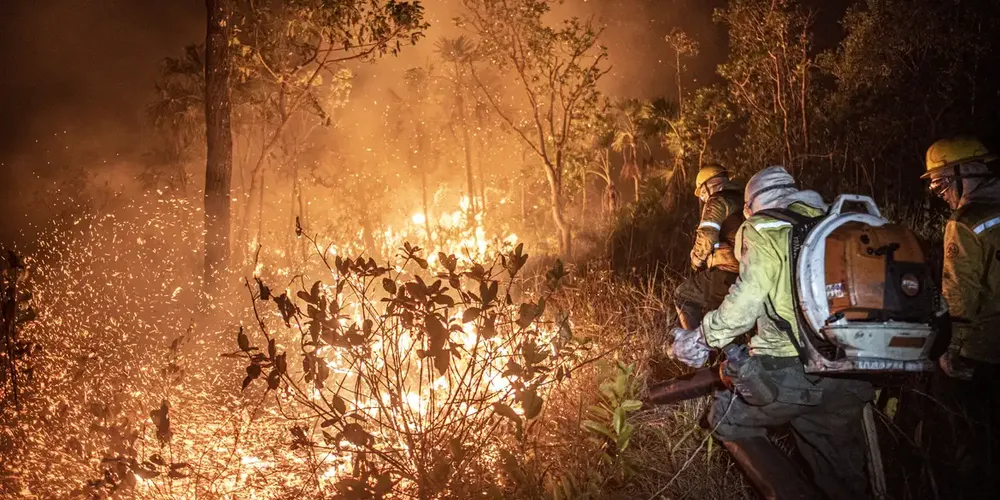 Monitoramento mostra que 99% dos incêndios são por ação humana