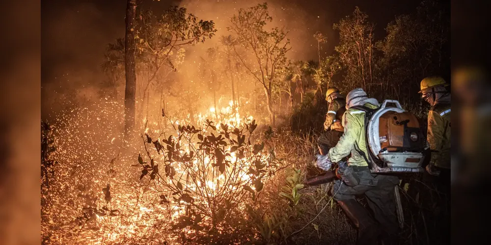 Monitoramento mostra que 99% dos incêndios são por ação humana