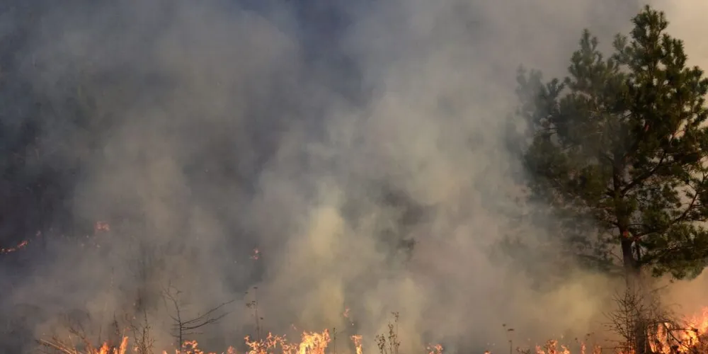A alta densidade de fuligem proveniente do Brasil evidencia o impacto transfronteiriço das queimadas