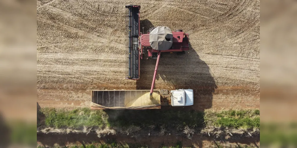 A região é uma das maiores produtoras agropecuárias do Paraná