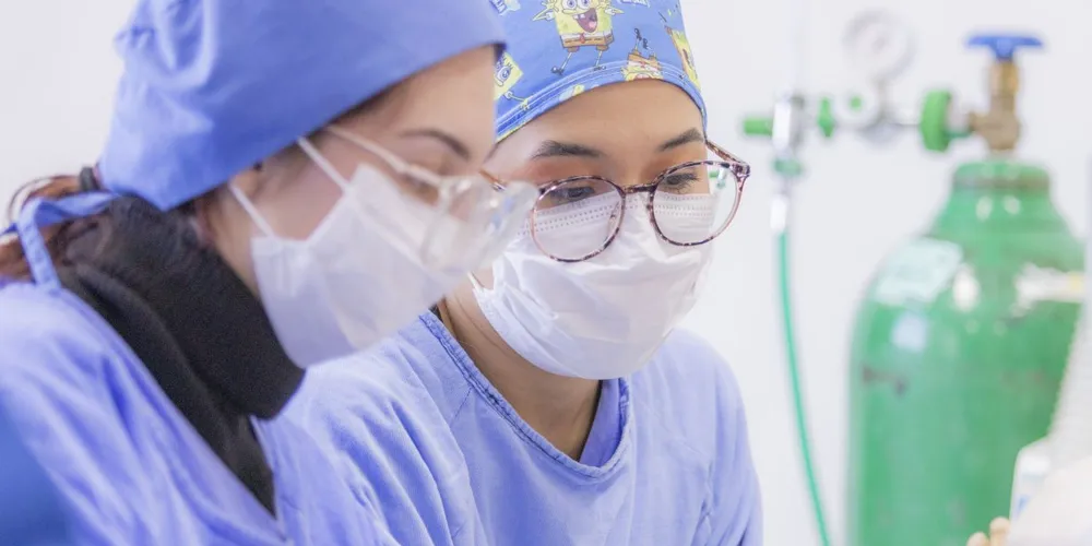 Depois de 15 anos, já são cerca de 350 profissionais médicos entregues ao mercado de trabalho com uma distinção importante: a formação de qualidade pela UEPG.