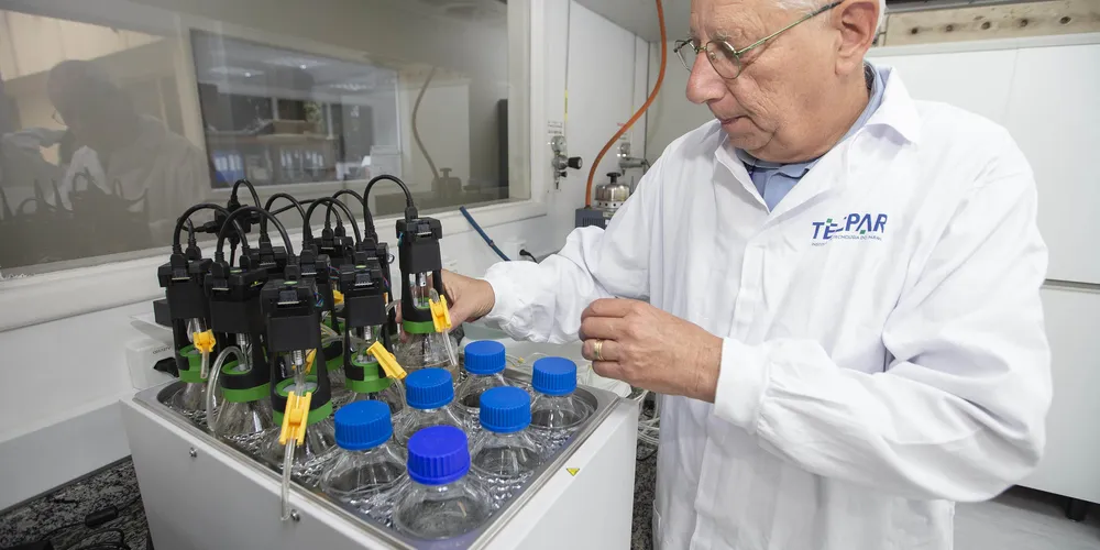 Entre os alimentos testados neste experimento estão, por exemplo, resíduos de salada, de arroz, massas, frutas e frango desfiado