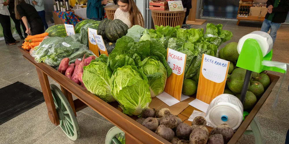 Ambiente acolhedor, com variedade de produtos, desperta a atenção de clientes