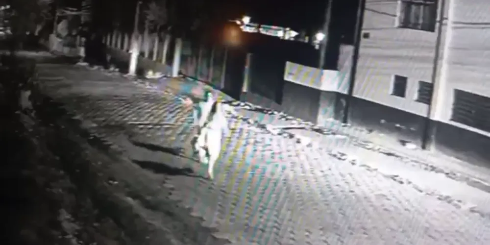 Homem perseguiu a mulher em uma rua de Castro