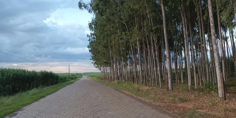 pós a assinatura dos convênios, cabe aos municípios fazer as licitações para contratar o serviço