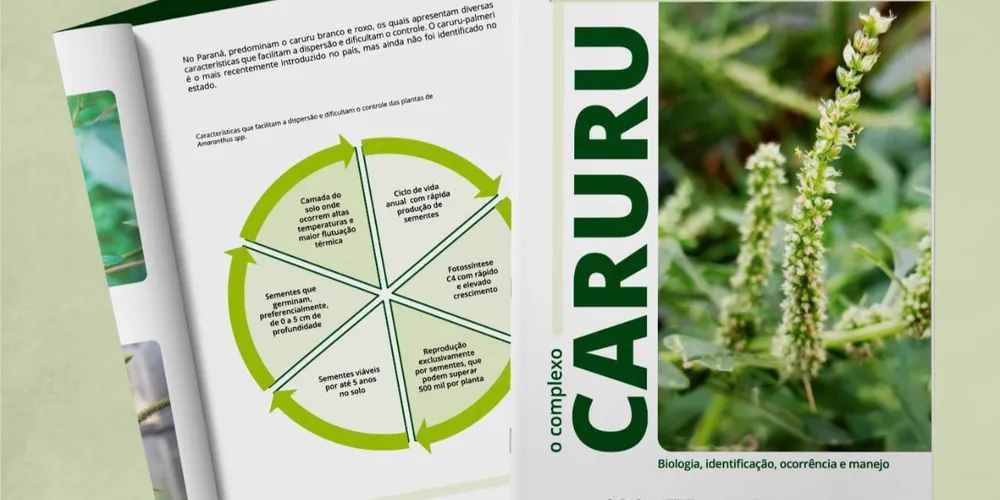 A Agência de Defesa Agropecuária do Paraná (Adapar) participou do processo criativo do material