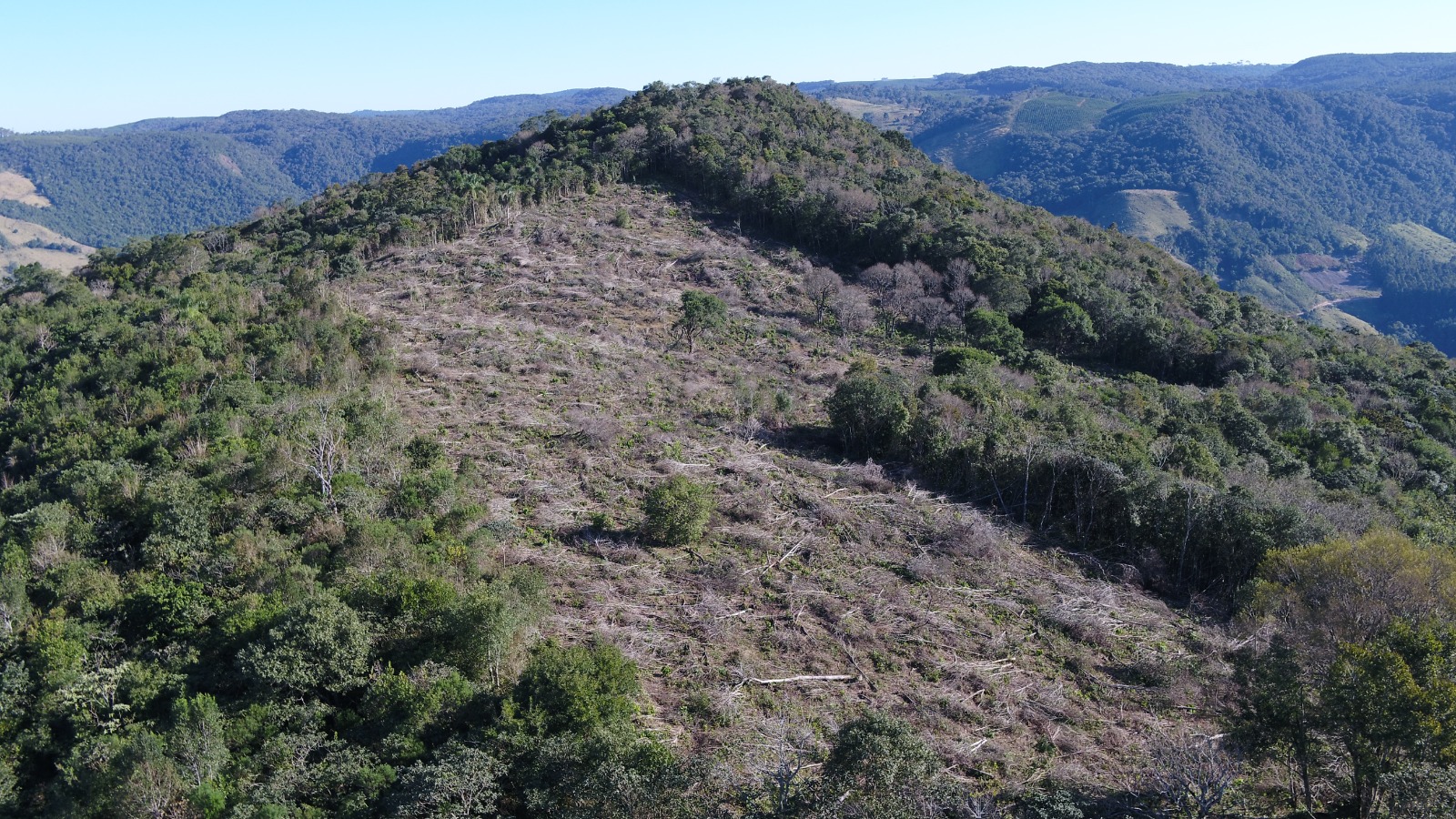 2,19 hectares foram destruídos