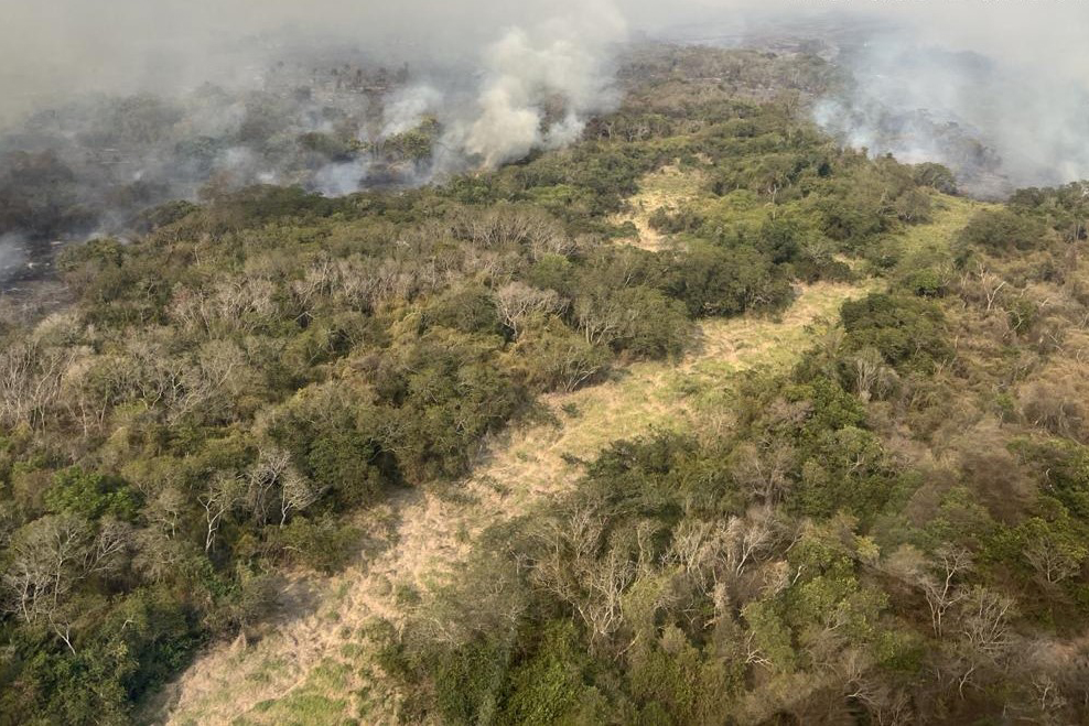 Apesar das queimadas, qualidade do ar se mantém em níveis aceitáveis no Paraná