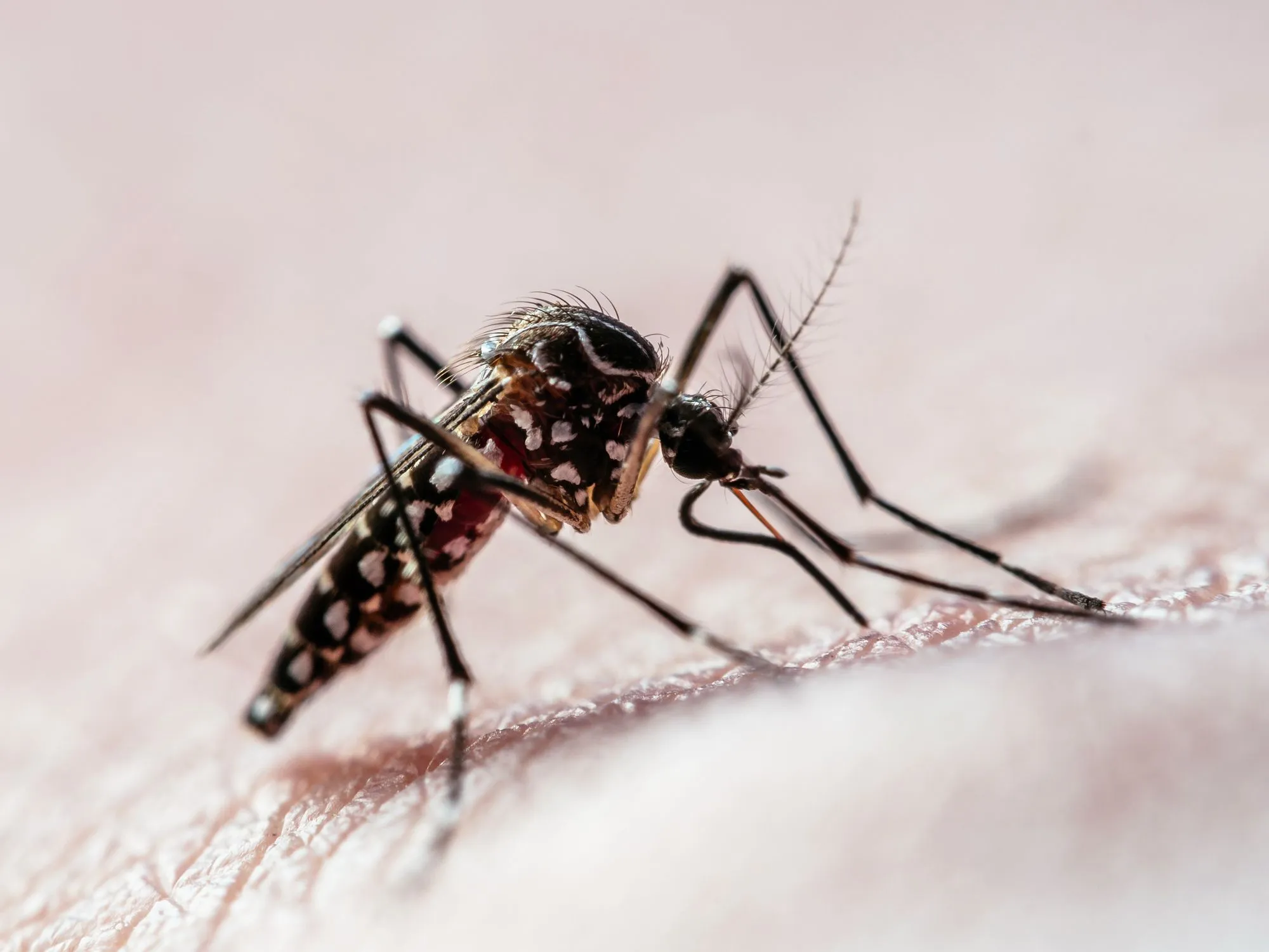 Ao todo, a cidade já soma 16 óbitos durante o atual período epidemiológico